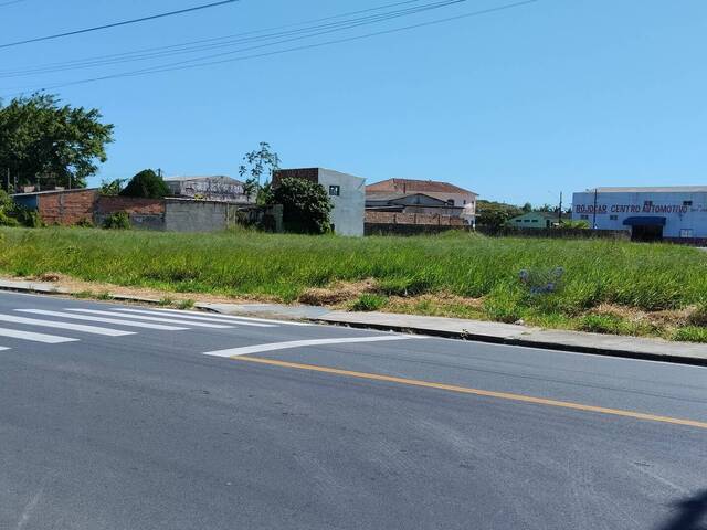 #9 - Área para Venda em Iguape - SP - 3