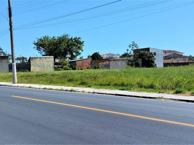 #9 - Área para Venda em Iguape - SP - 2