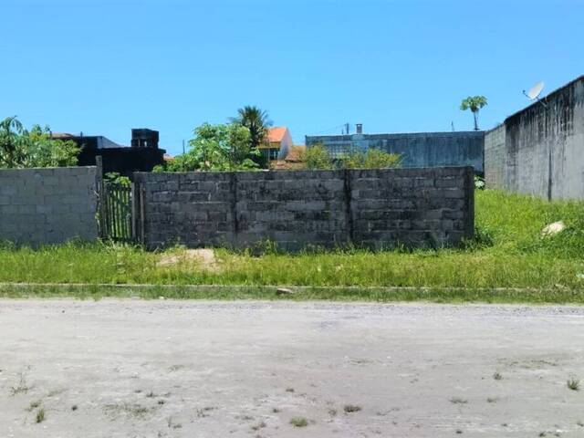 #12 - Área para Venda em Ilha Comprida - SP - 3