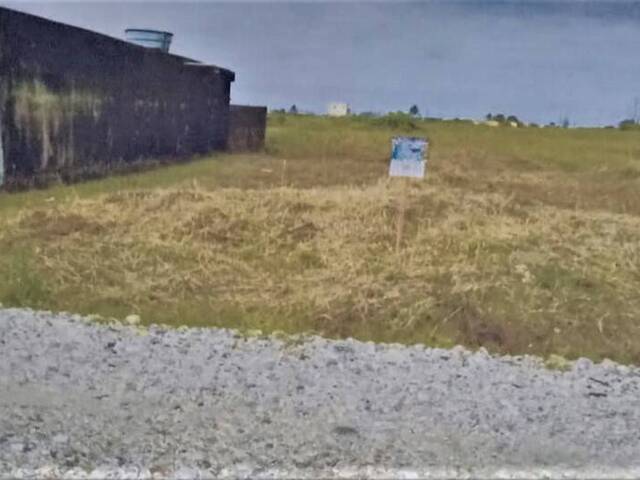 #22 - Área para Venda em Ilha Comprida - SP - 1