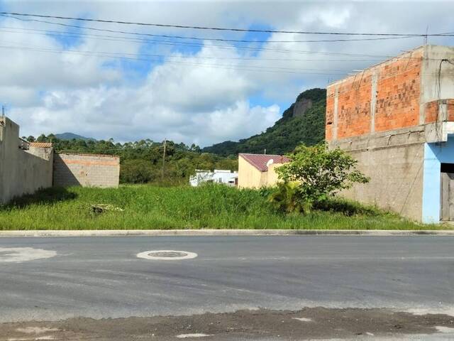 #28 - Área para Venda em Iguape - SP - 1