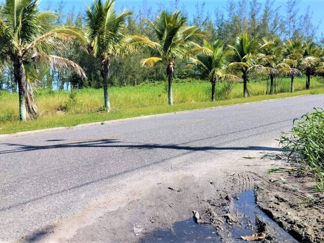 Área para Venda em Ilha Comprida - 5