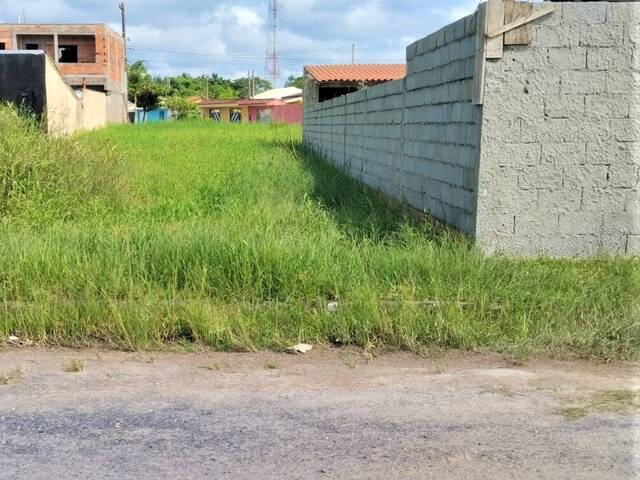 #36 - Área para Venda em Iguape - SP - 1