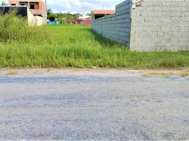 #36 - Área para Venda em Iguape - SP - 3