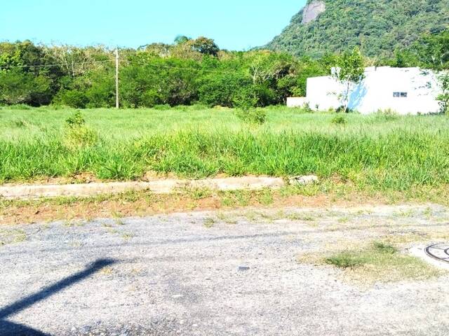 #68 - Área para Venda em Iguape - SP - 1