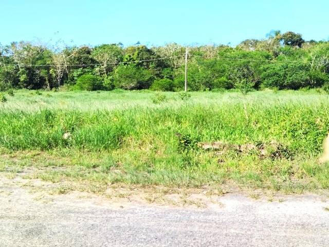 #68 - Área para Venda em Iguape - SP - 2