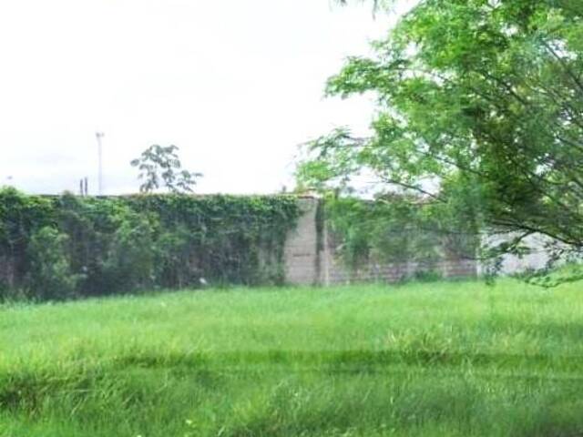 #68 - Área para Venda em Iguape - SP - 3