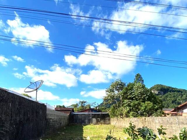 Área para Venda em Iguape - 4